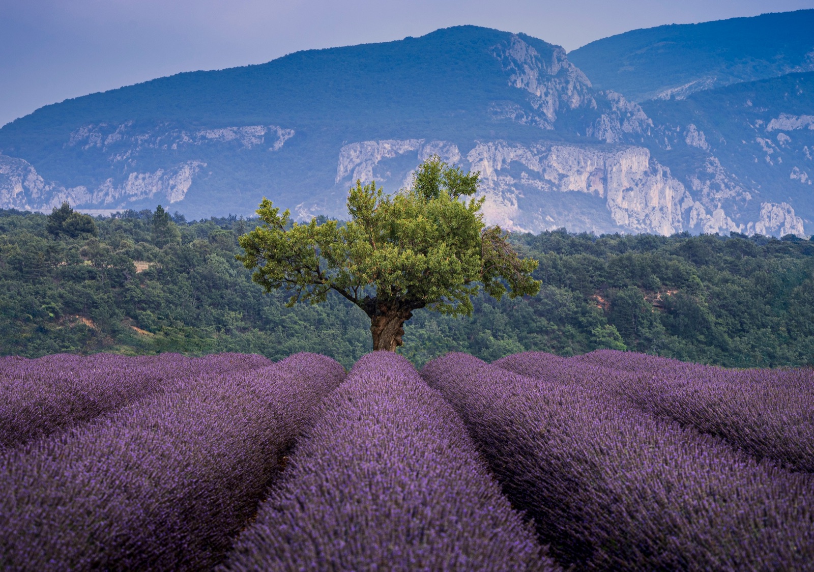 Alpes-de-Haute-Provence
