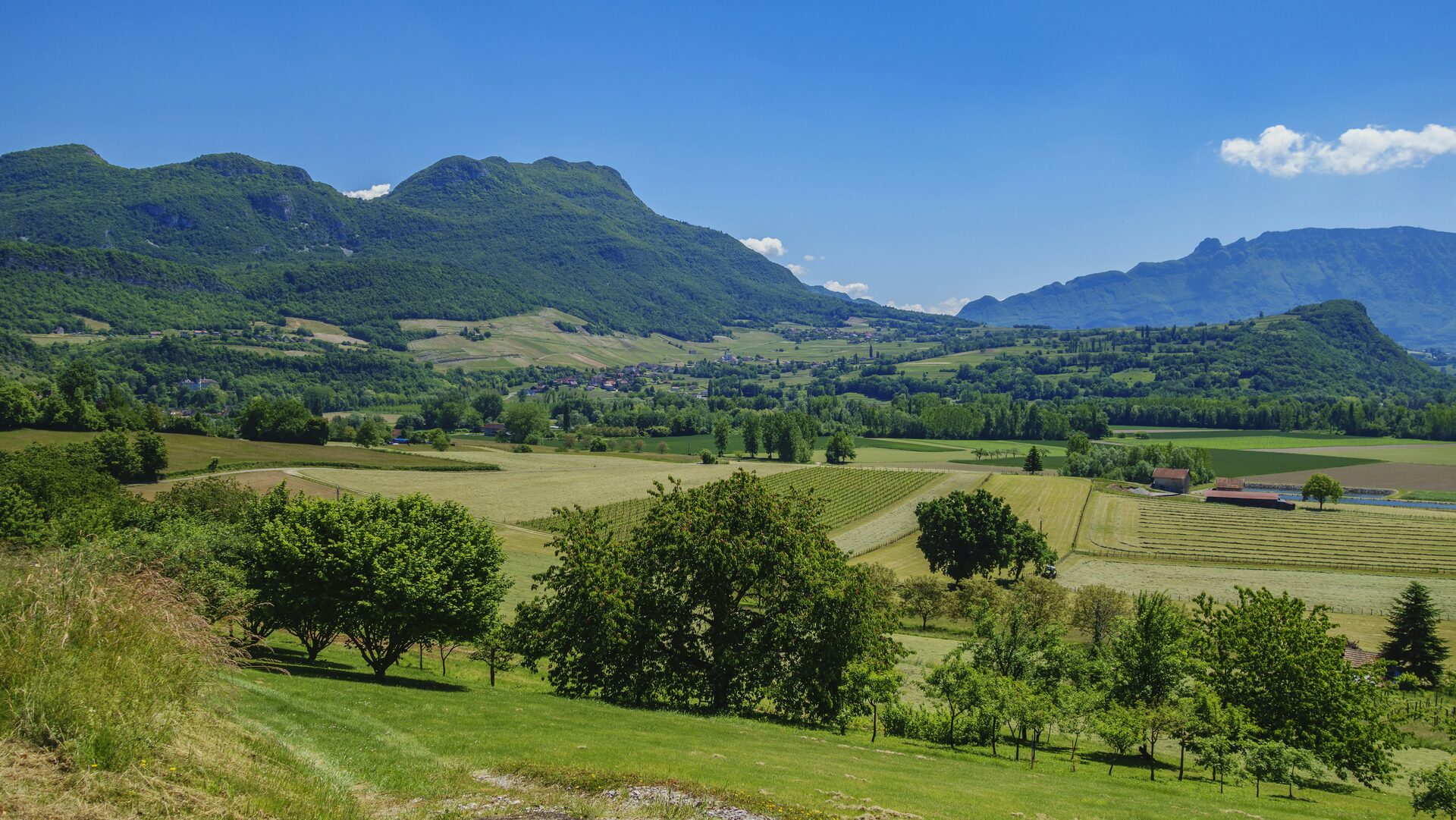 Illustration Auvergne-Rhône-Alpes