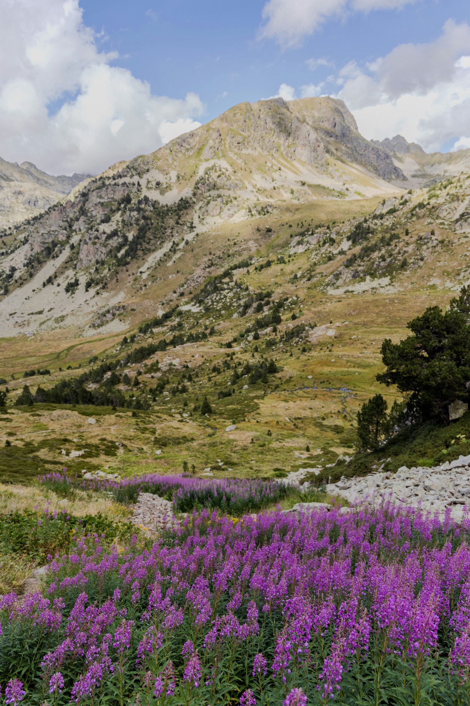 Illustration — Digne-les-Bains