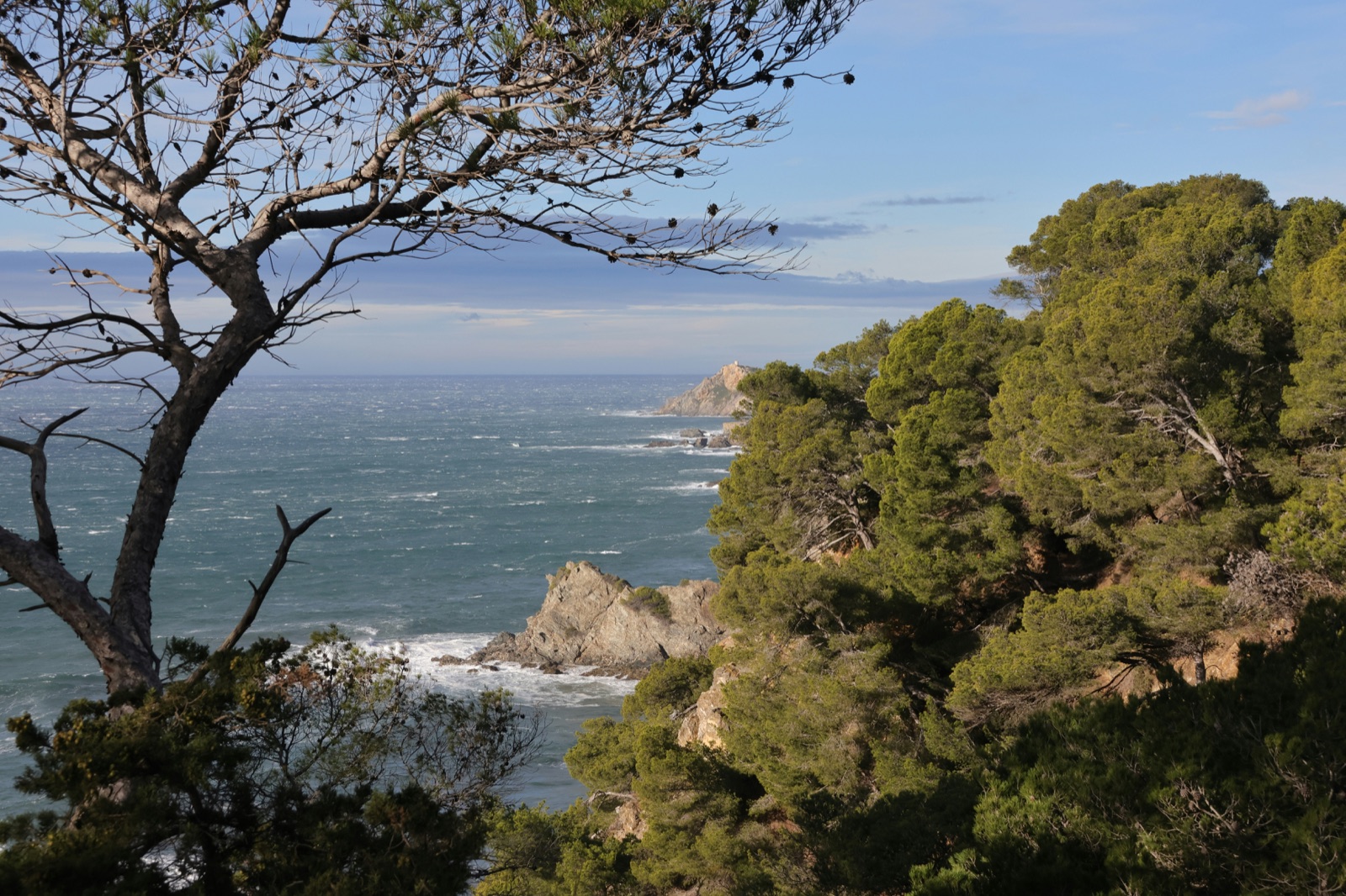 Illustration — Six-Fours-les-Plages